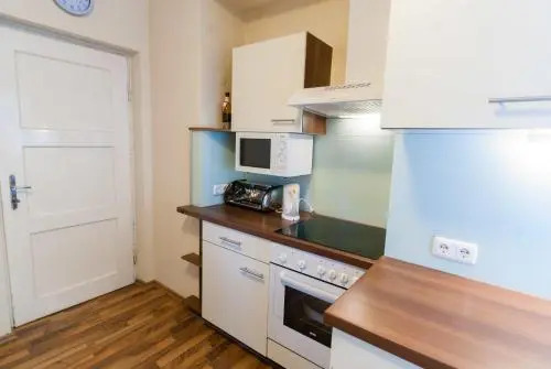 Appartement Harrer Zell am See