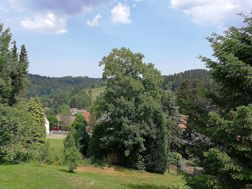 Haus zur Tanne