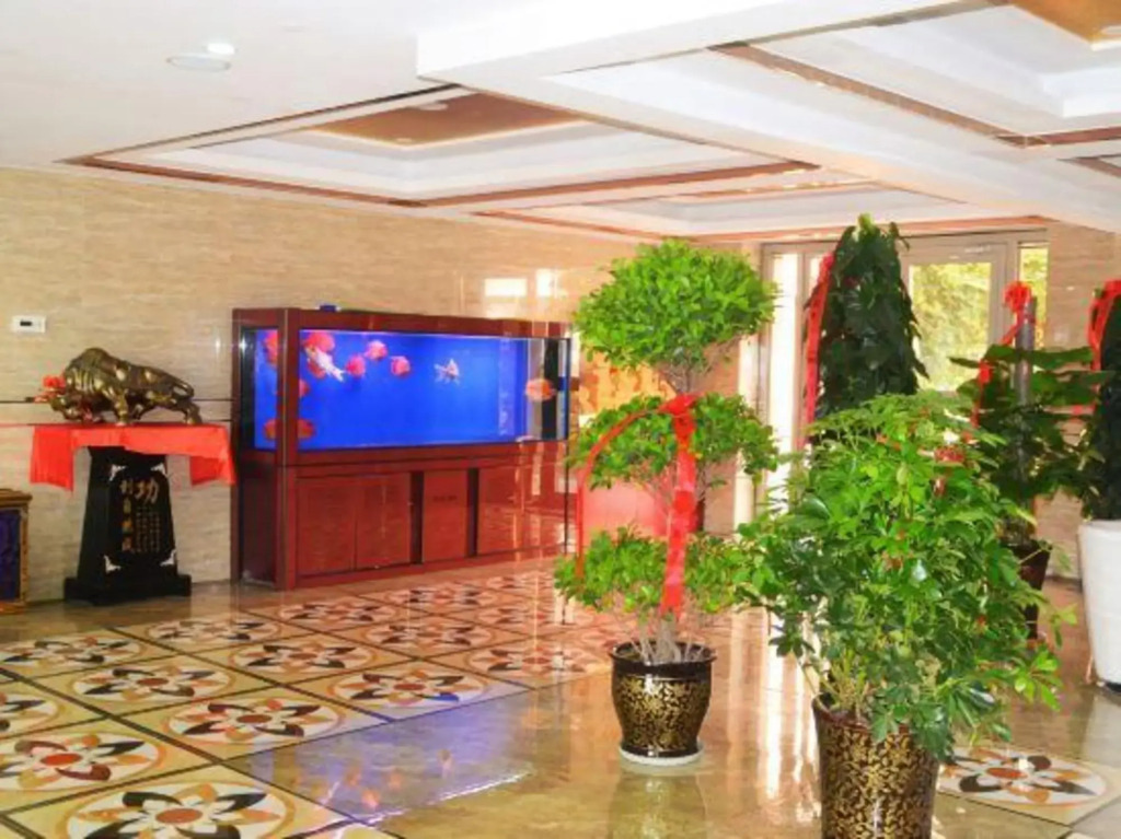 Xinmaoxiang Hostel