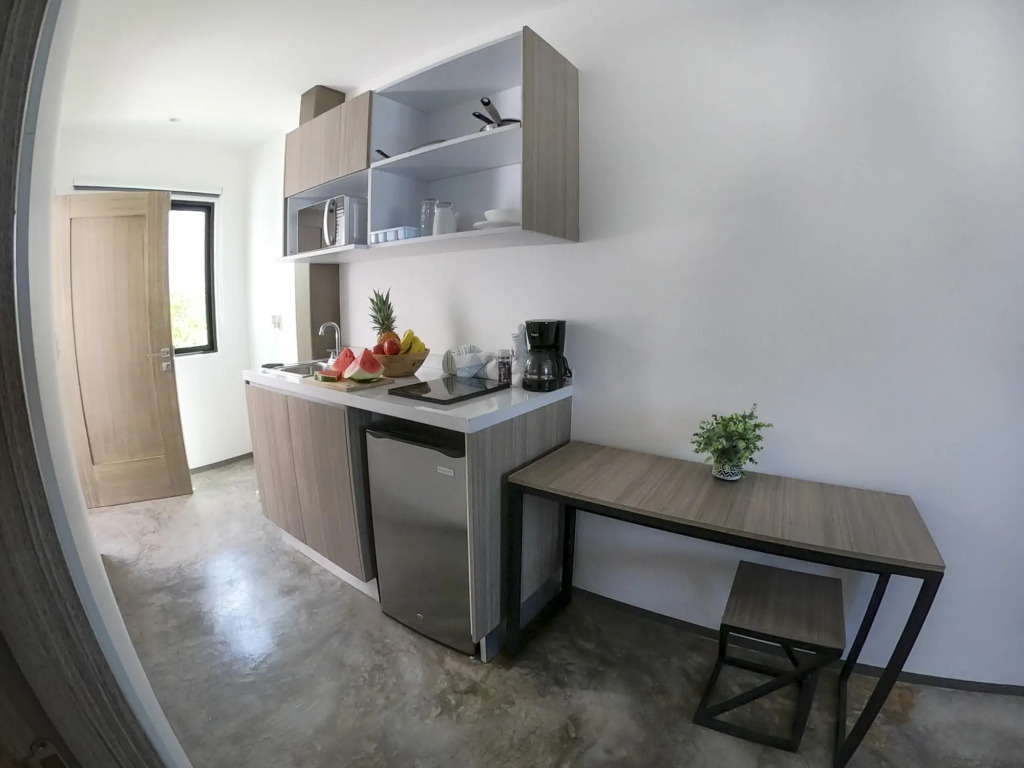 Queen Studio PDC Oasis Pool Rooftop Lounge Walk to 5 Avenida Best Playa Beaches