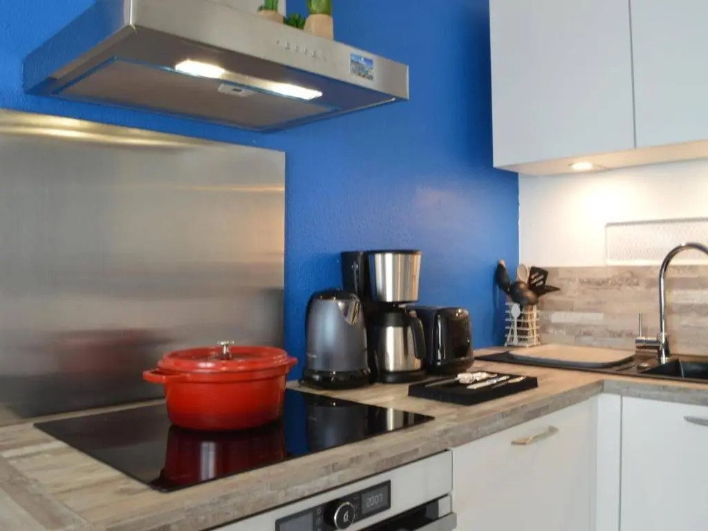 Appartement Banyuls-sur-Mer, 2 pièces, 4 personnes - FR-1-225C-31