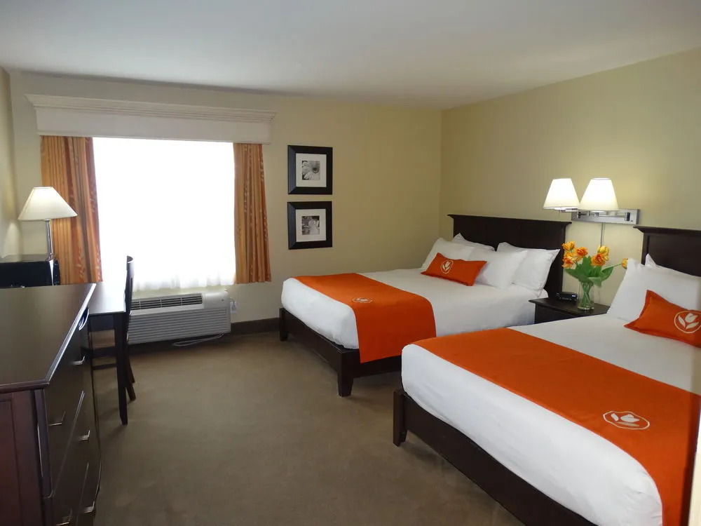 Amsterdam Inn & Suites Sussex