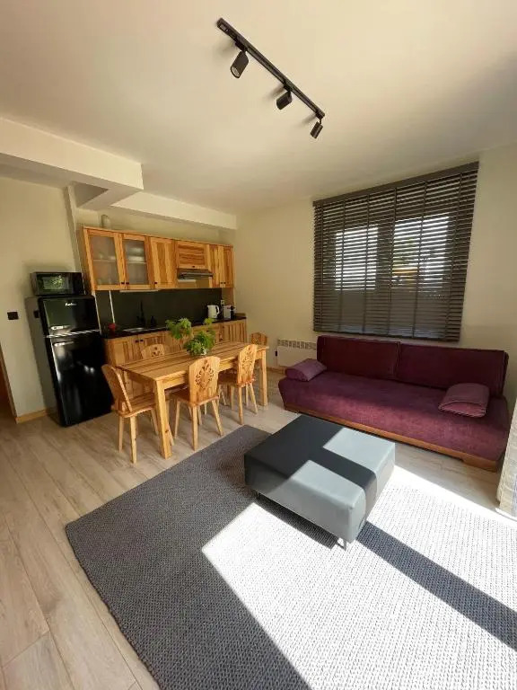 Apartament Willa Hrube parter z tarasem i kominkiem