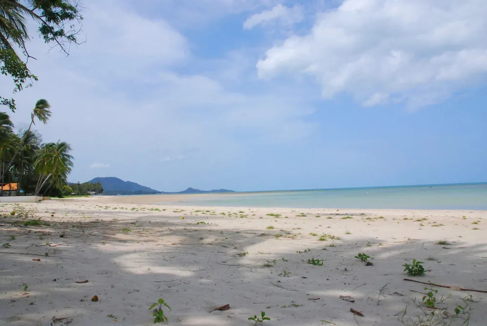 Lauras Guest House-adult only