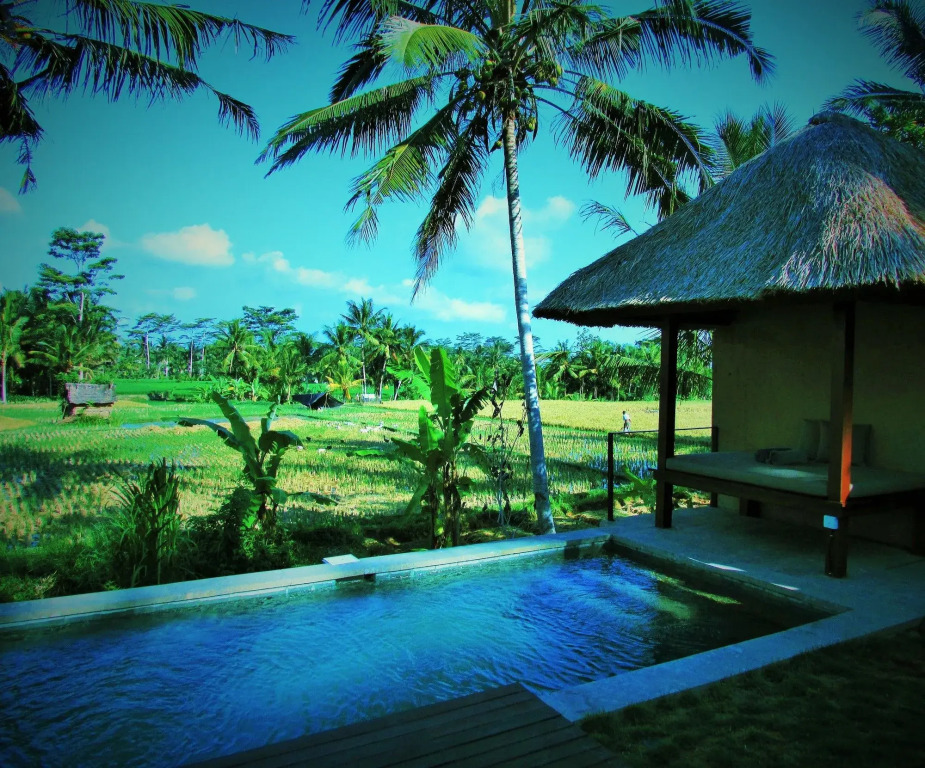 Temuku Ubud Villas