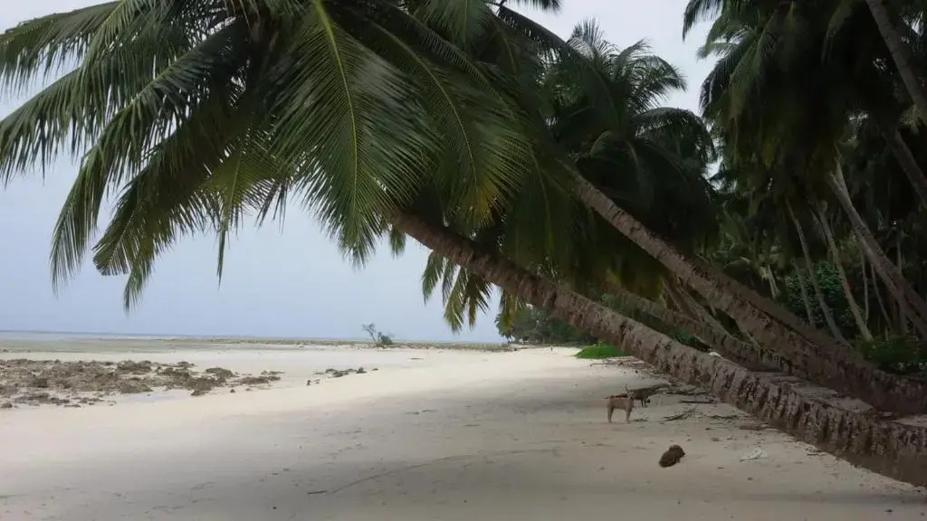 Shangrilas Beach Resort