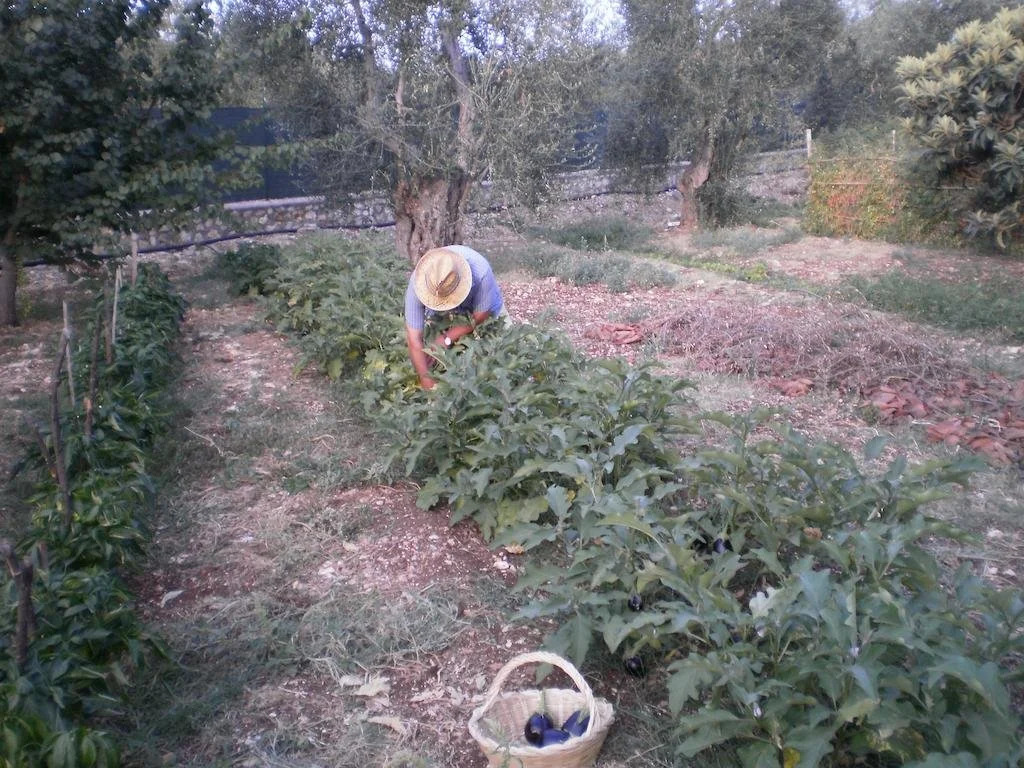 poggio di luna