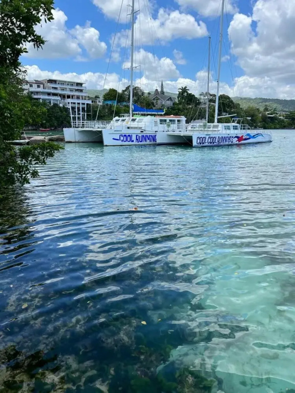Immaculate 1-bed House in Ocho Rios