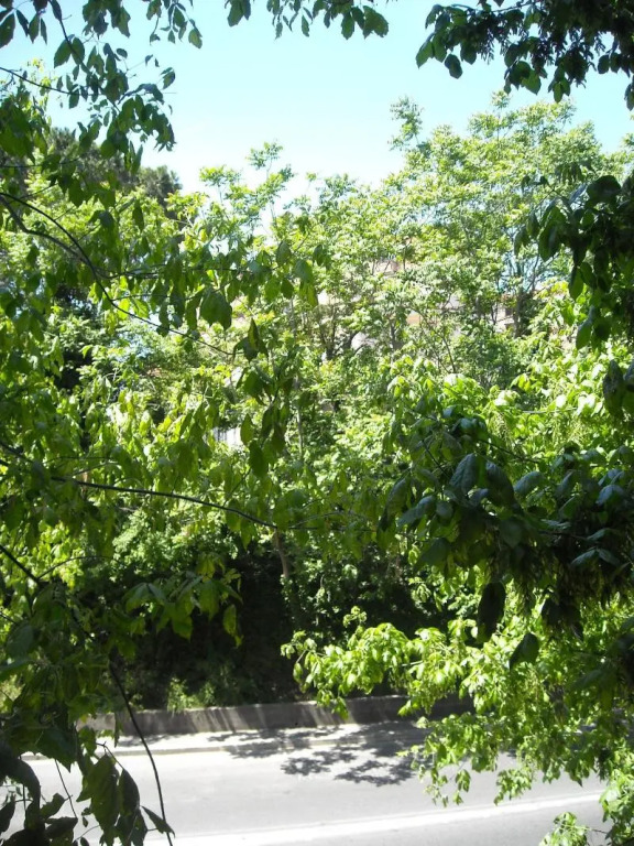 B&B Il Granello Di Senape