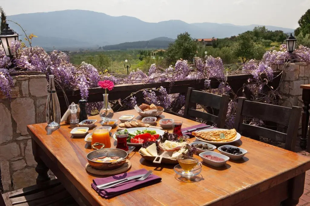 Vinifera Vineyards Hotel
