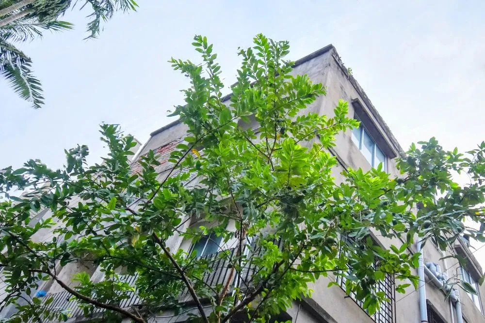 Quest Home Kalikapur Kolkata