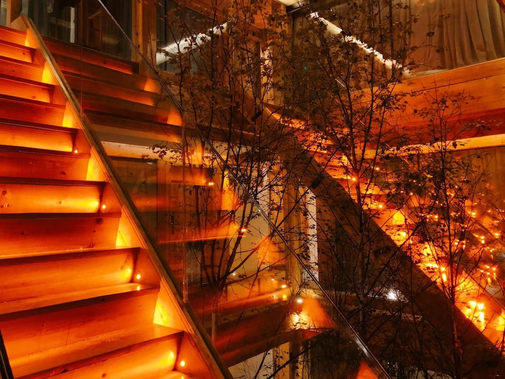 Tree Space Hotel