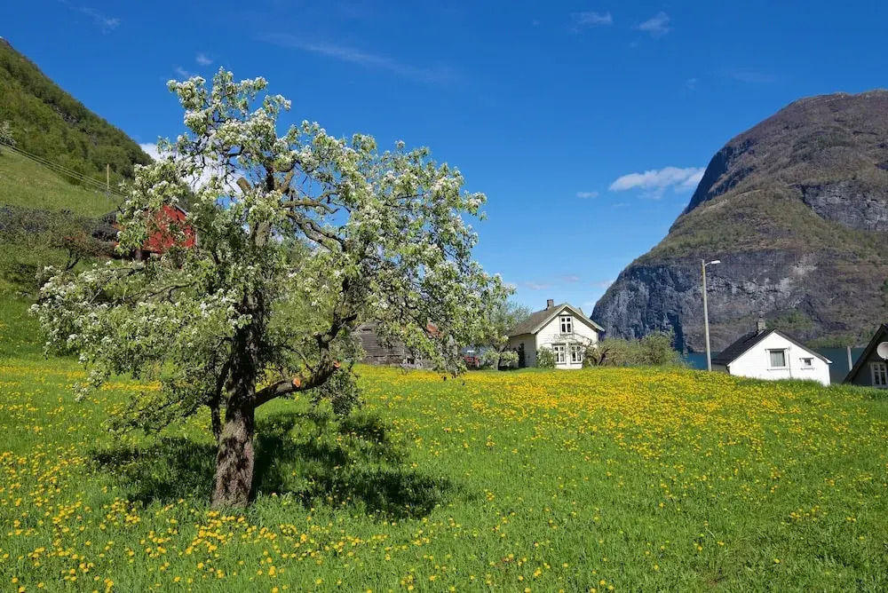 Visit Undredal