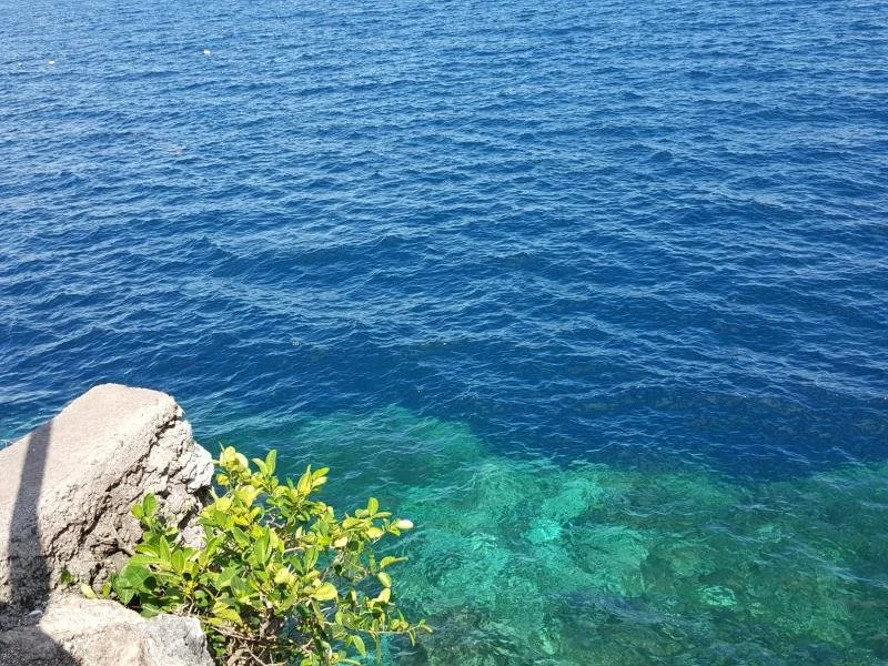Molave Cove Resort