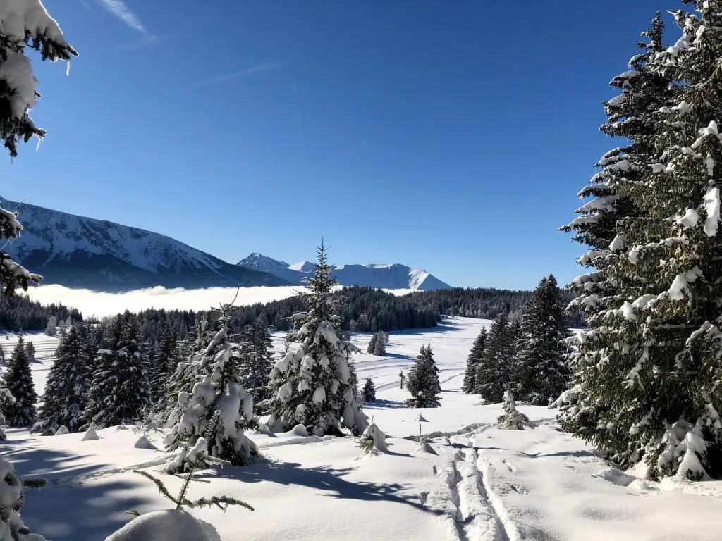 Chamrousse 1700 - Les Domaines de LArselle- Silènes C23 - Classé 3 étoiles