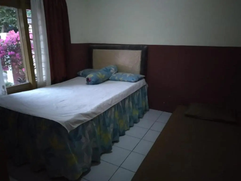 NEW OLIVIA Homestay