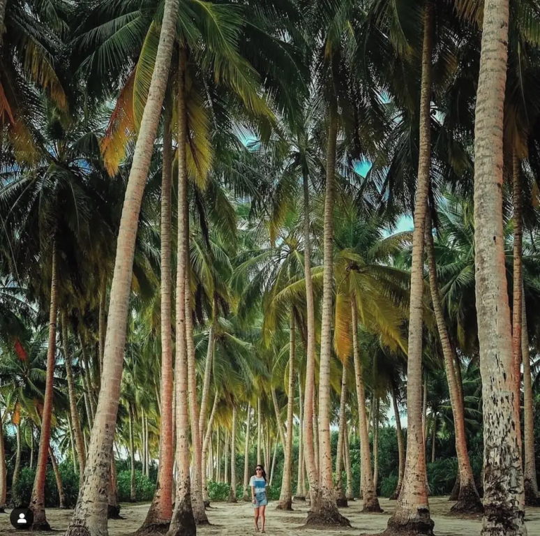 Suffix Retreat - Stay, Dive & Explore Fuvahmulah
