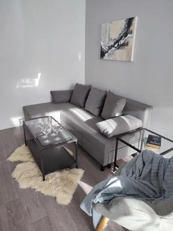 CHAIKA Dubulti Jurmala 2 room apartment