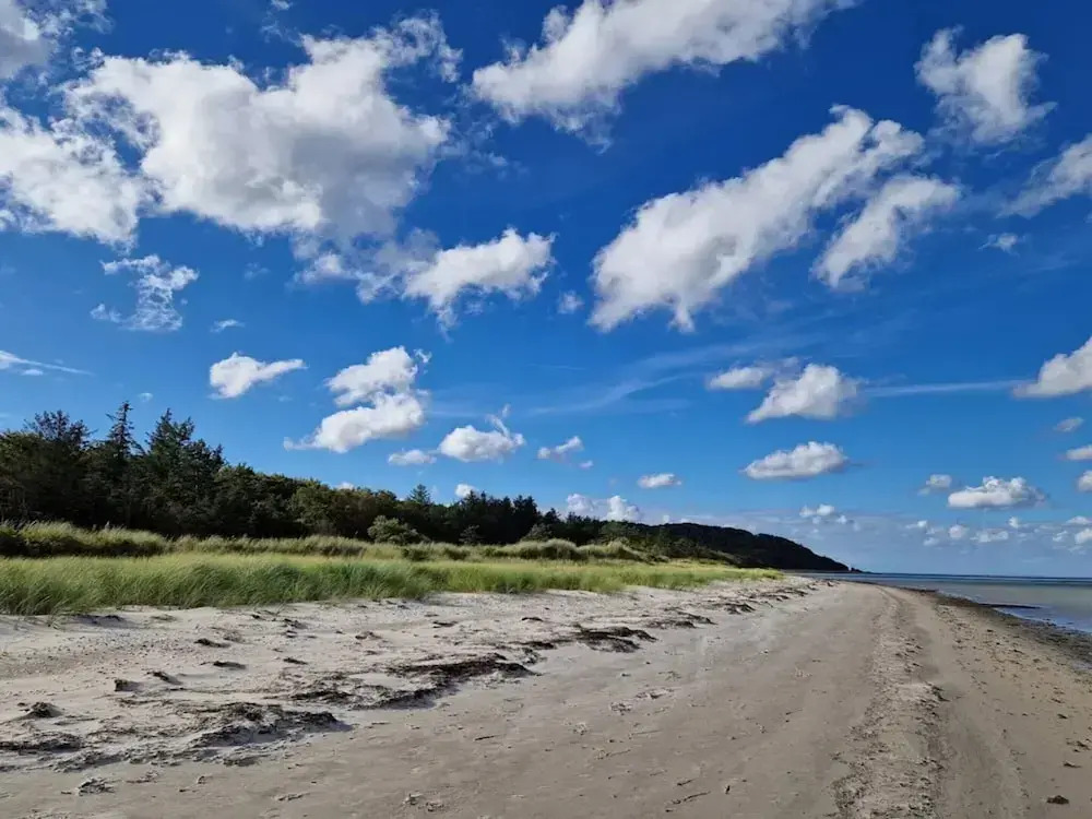 8 Person Holiday Home in Grenaa
