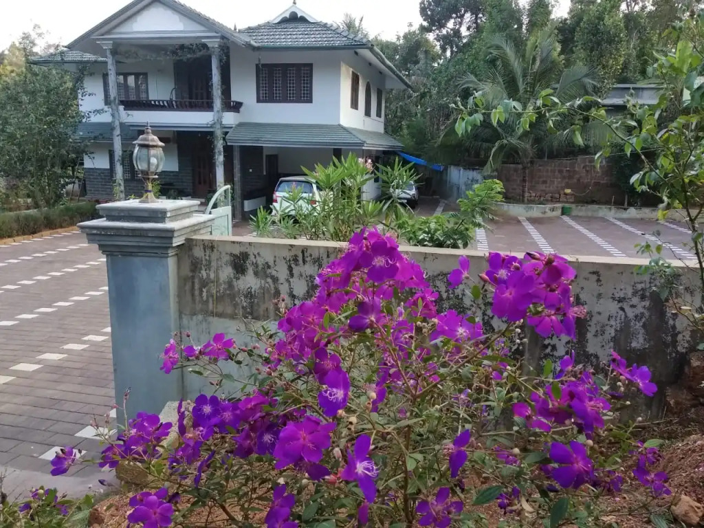Jungle Castle