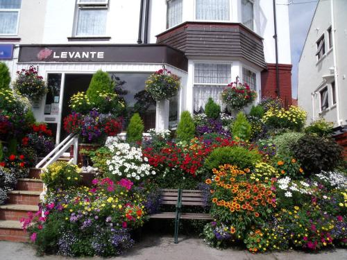 Levante