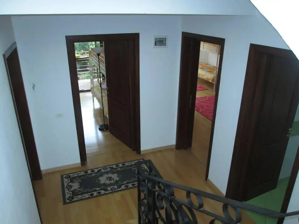 Swallows' Hostel