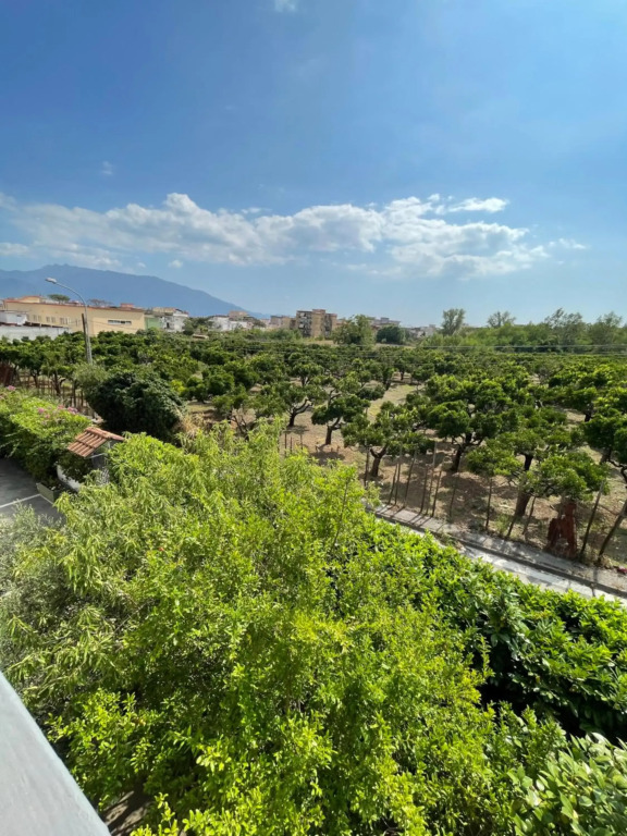 Vesuvius garden