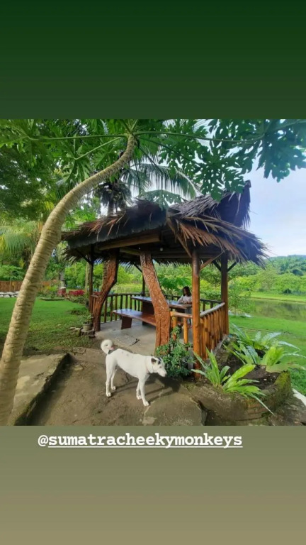 Sumatra Monkey Trekking