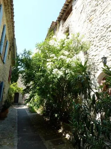 Olea