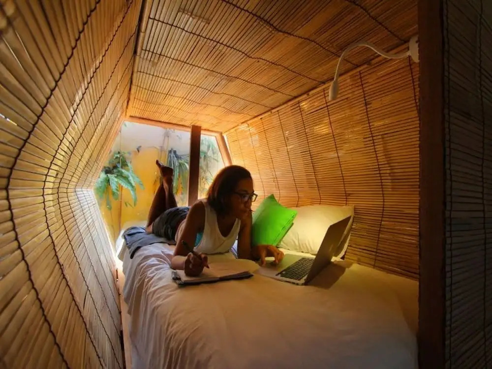 Bali Bee House