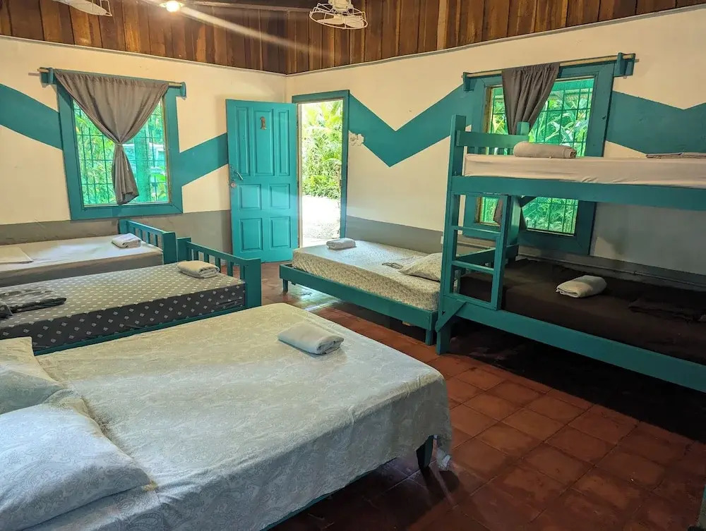 Tasty Dayz Hostel