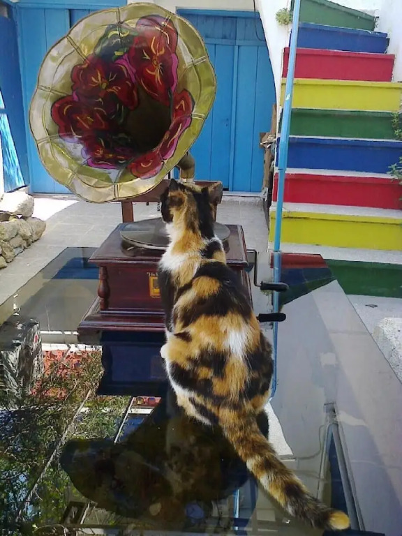 Sigacik Kaleici Pansiyon Nostalji Kafe