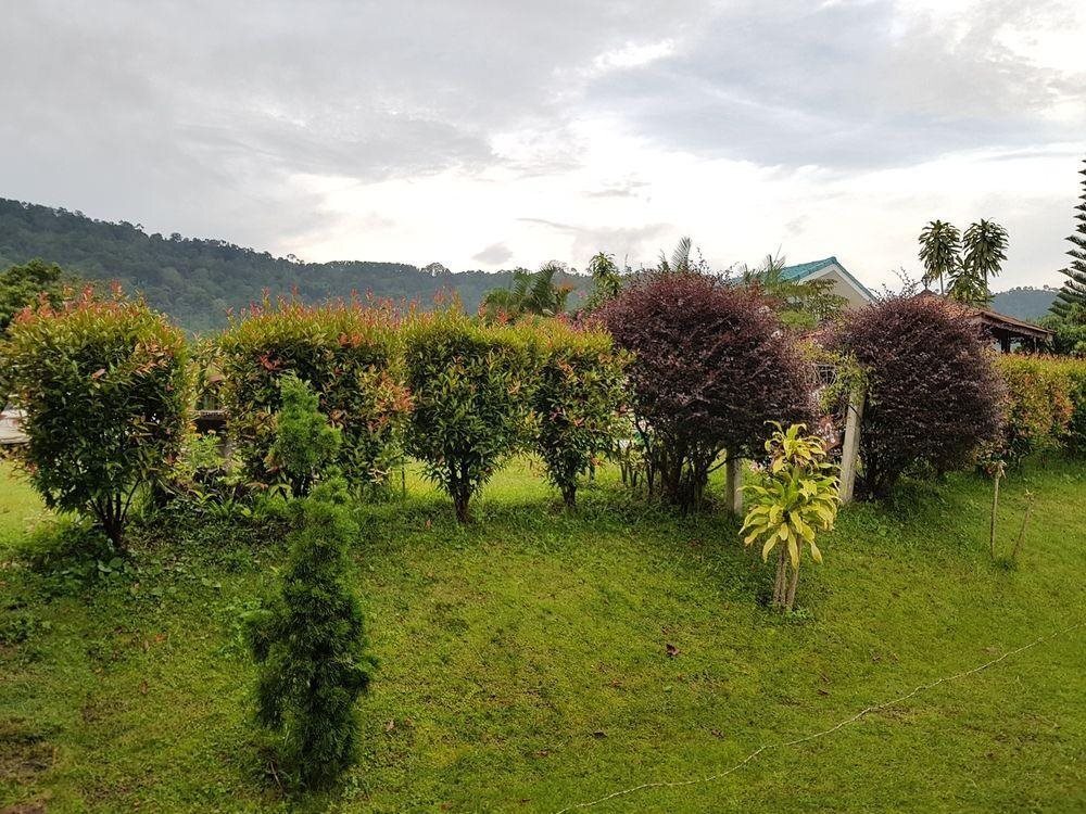 Wongchan Klang Mok Resort