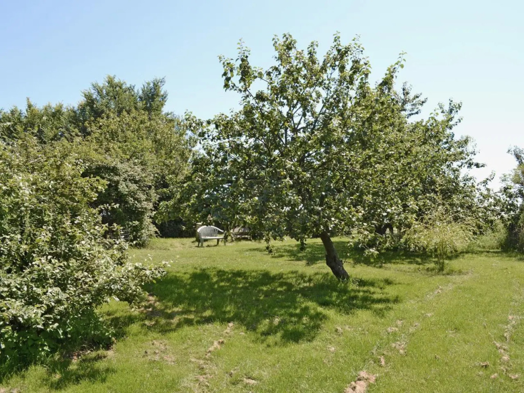 High House Holiday Cottages 1