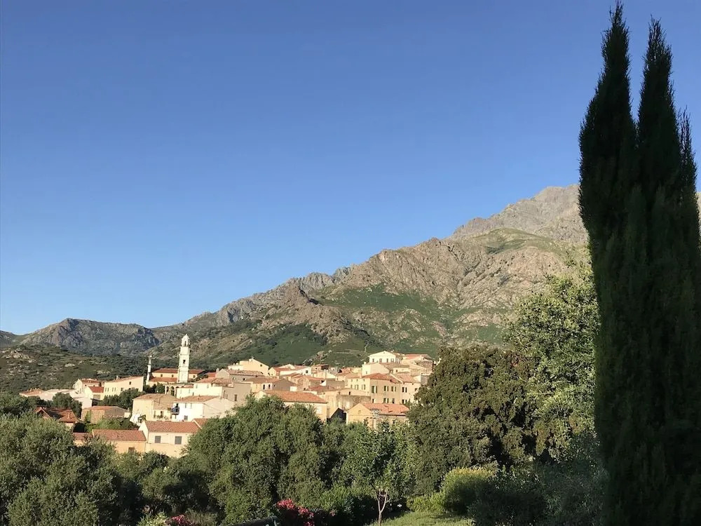 Au pied des oliviers