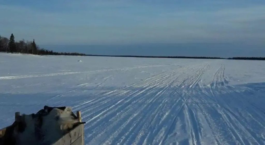 У Сейдозера