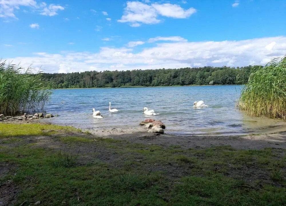 Apartment in Strausberg Near Straussee Lake