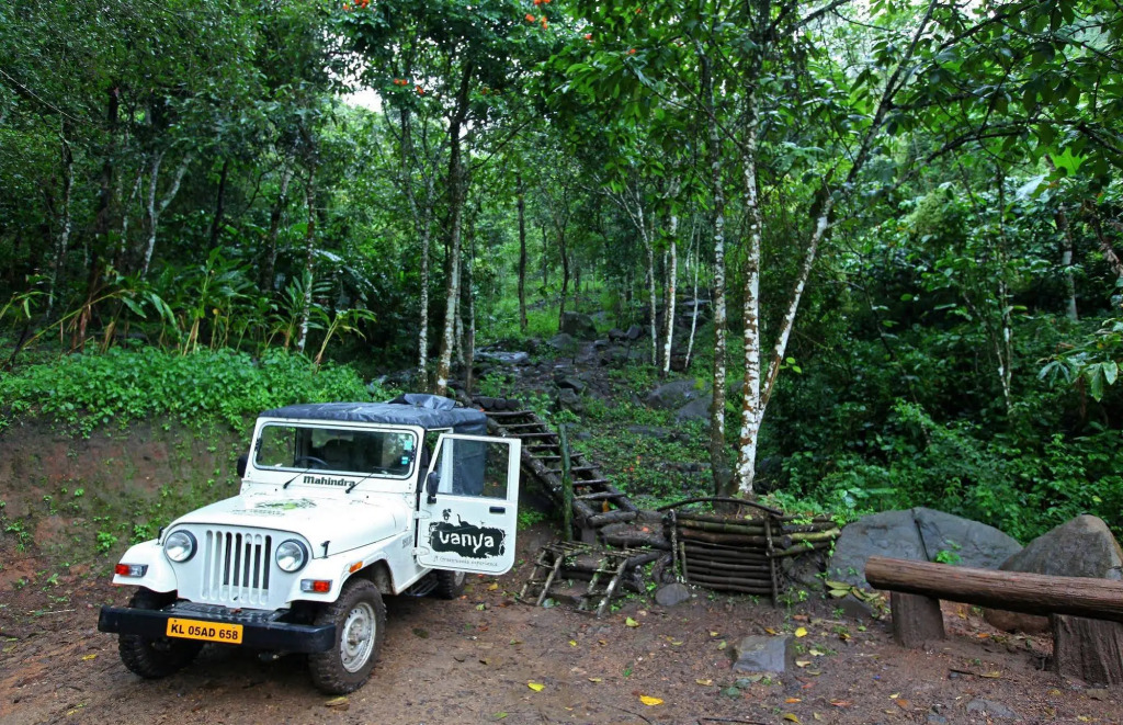 Vanya Tree House