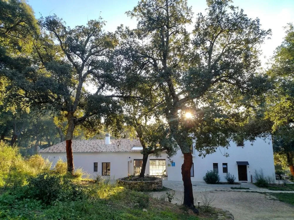 Tambor Del Llano