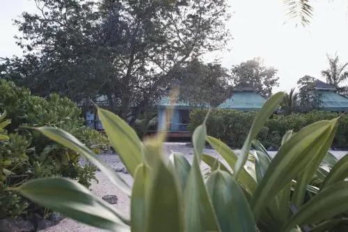NUNUM-Luxury Tenting