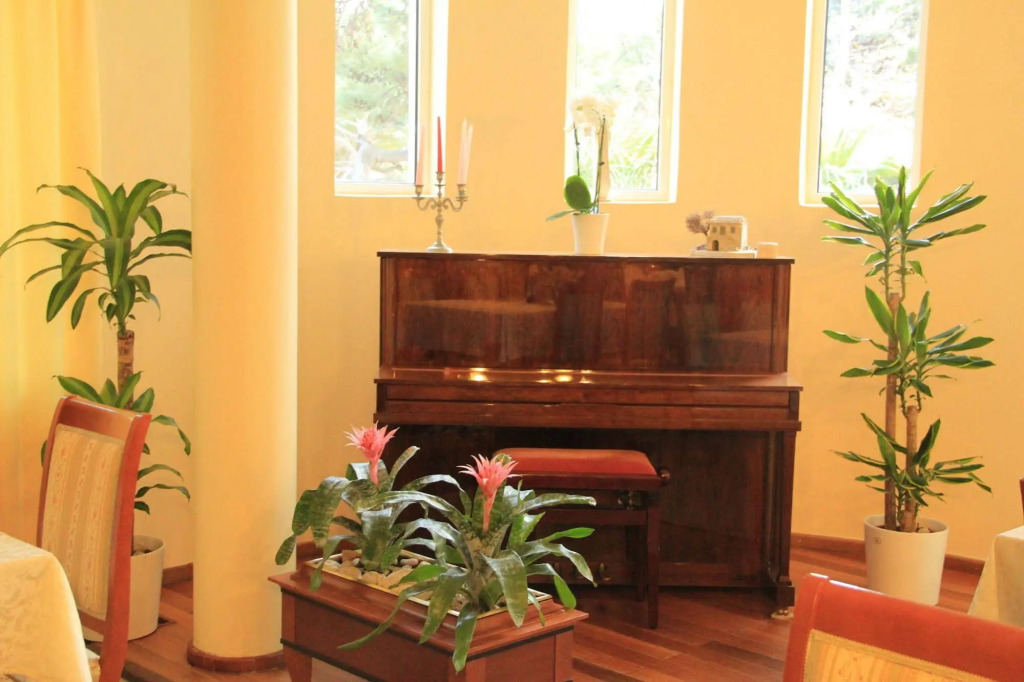 Hotel Villa Bacchus
