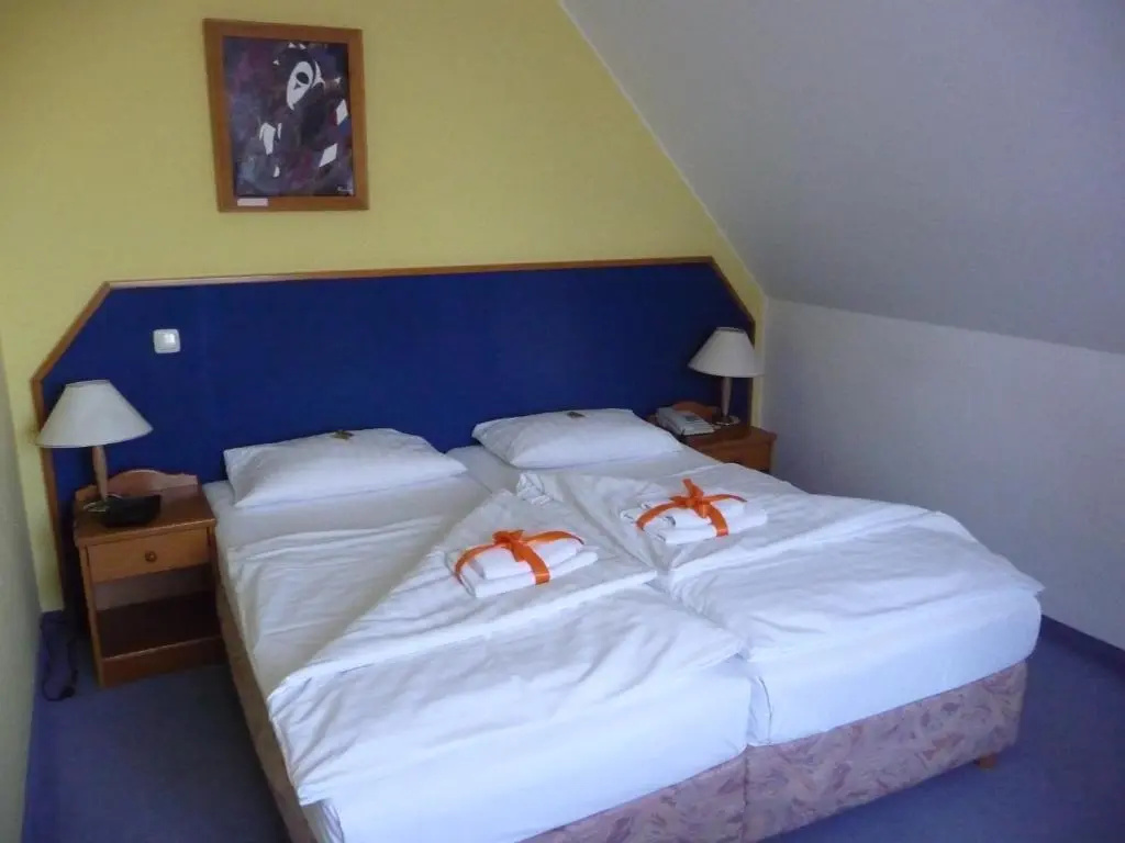 Hotel Mecklenburger Mühle Garni