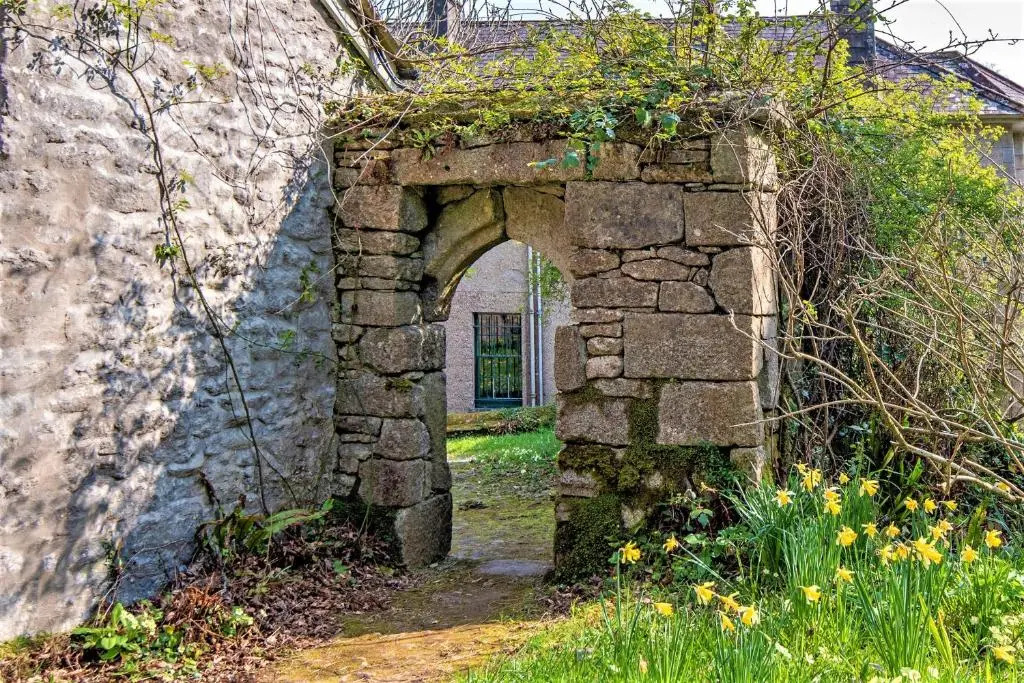 The Pavilion
