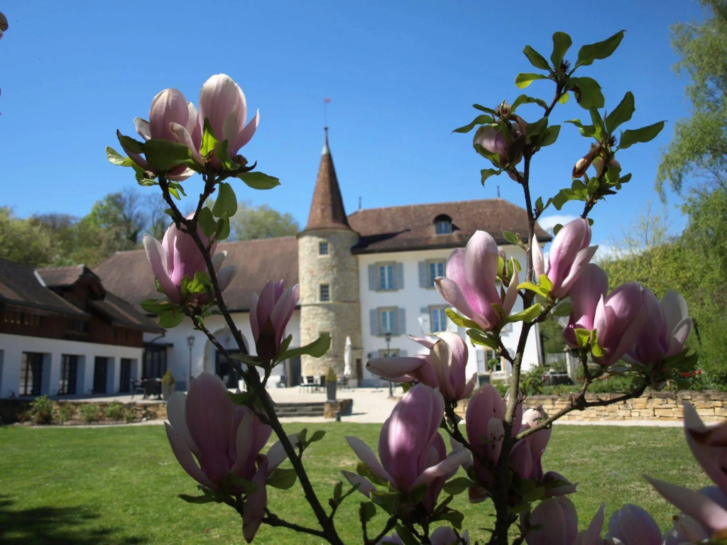 Romantik Château Salavaux