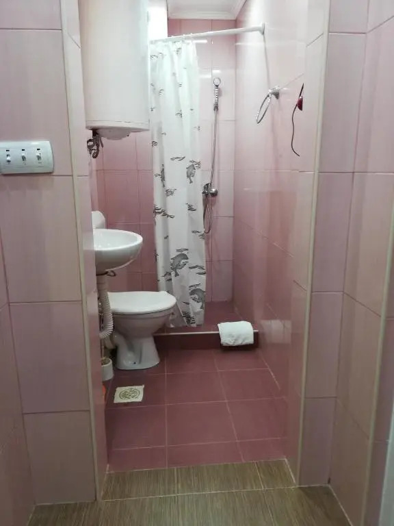 Rooms and Apartments Milana
