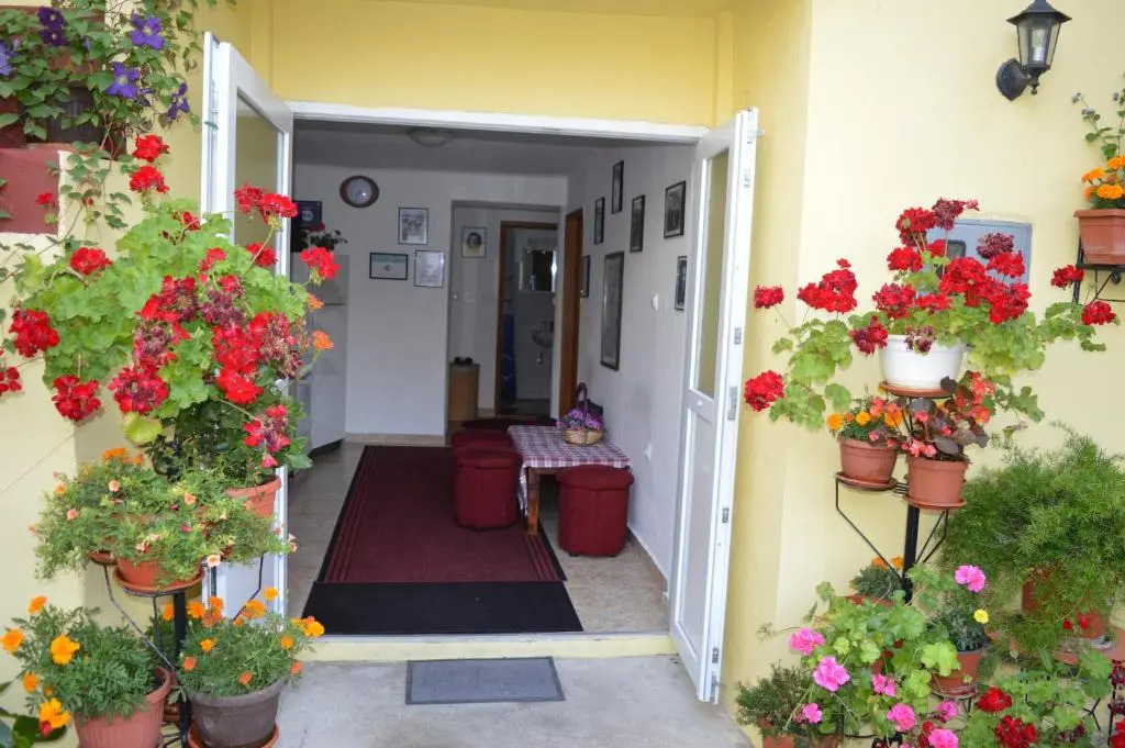Hostel David