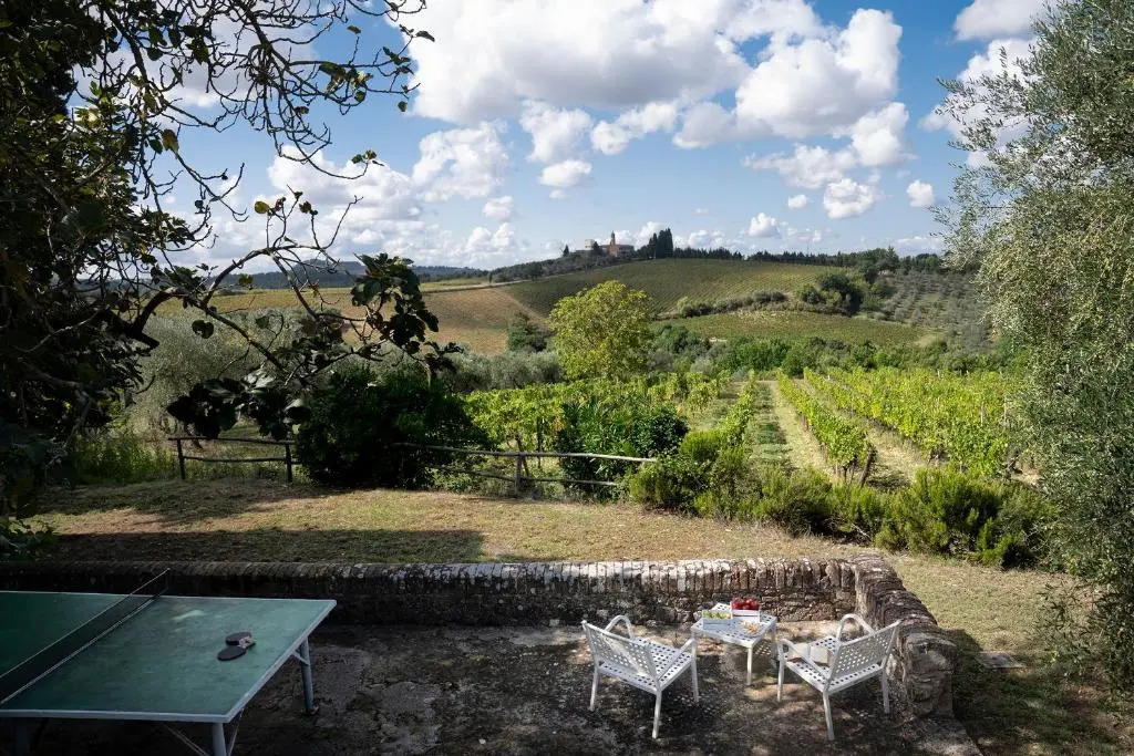 Archipettoli