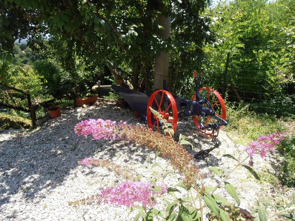 Il Sorger Del Sole