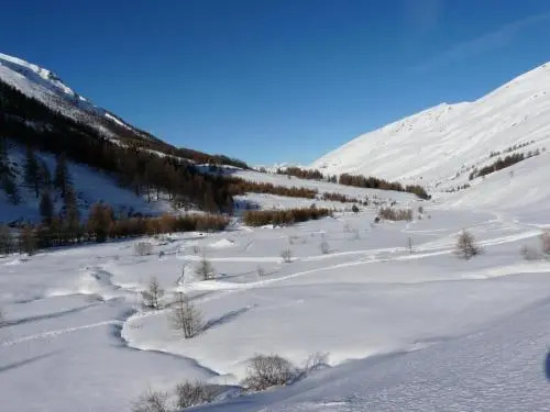 Le Chamois Bleu