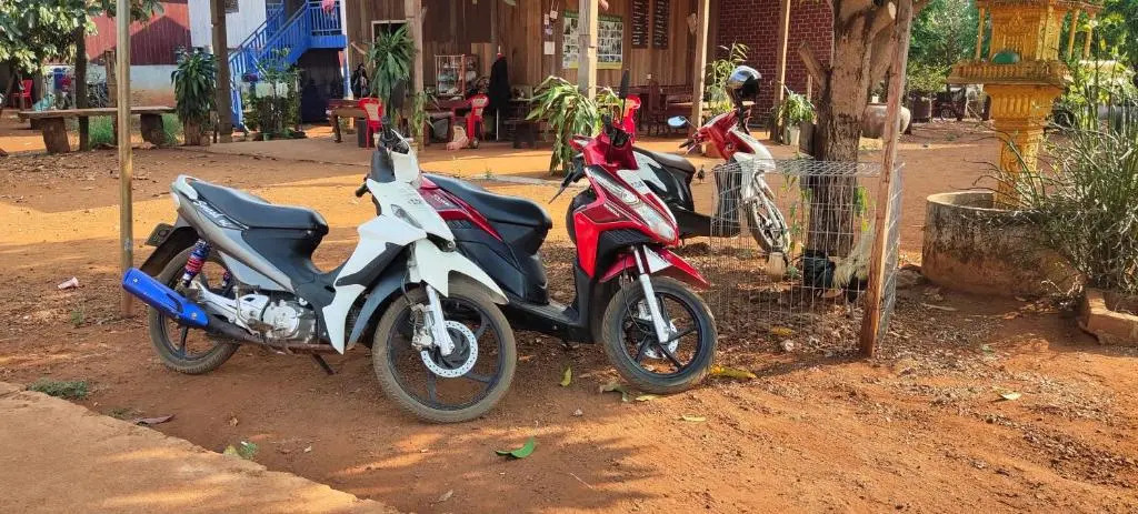 Tree Trails Homestay & Offers Jungle Trekk-Scooter For Rental